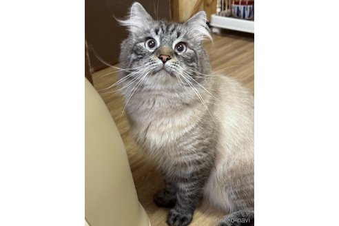 くん1枚目